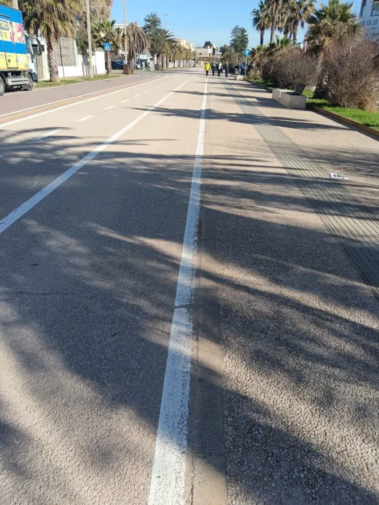 STORIA DI UNA CORSA SISTEMICA di Laura Loru img 20260304 wa0043