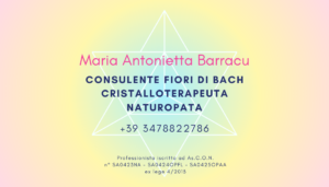 Maria Antonietta Barracu